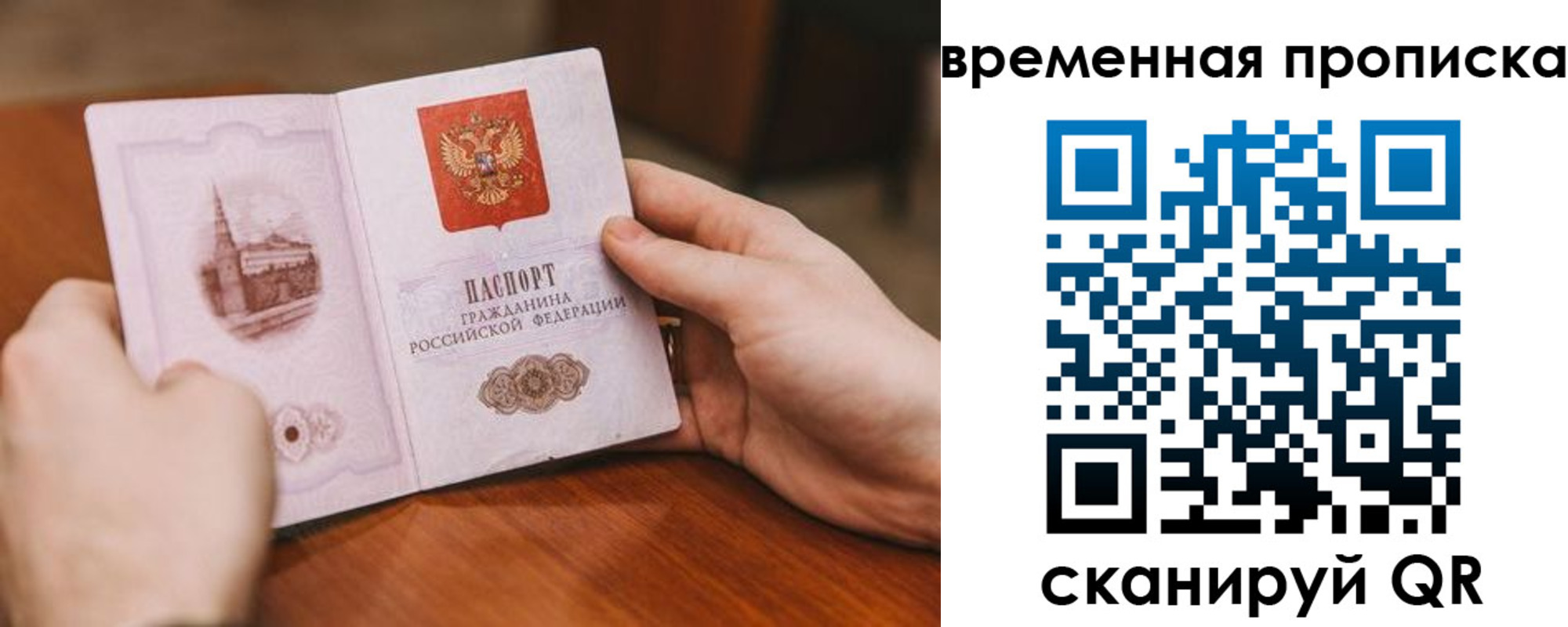 прописка законно в Елизово