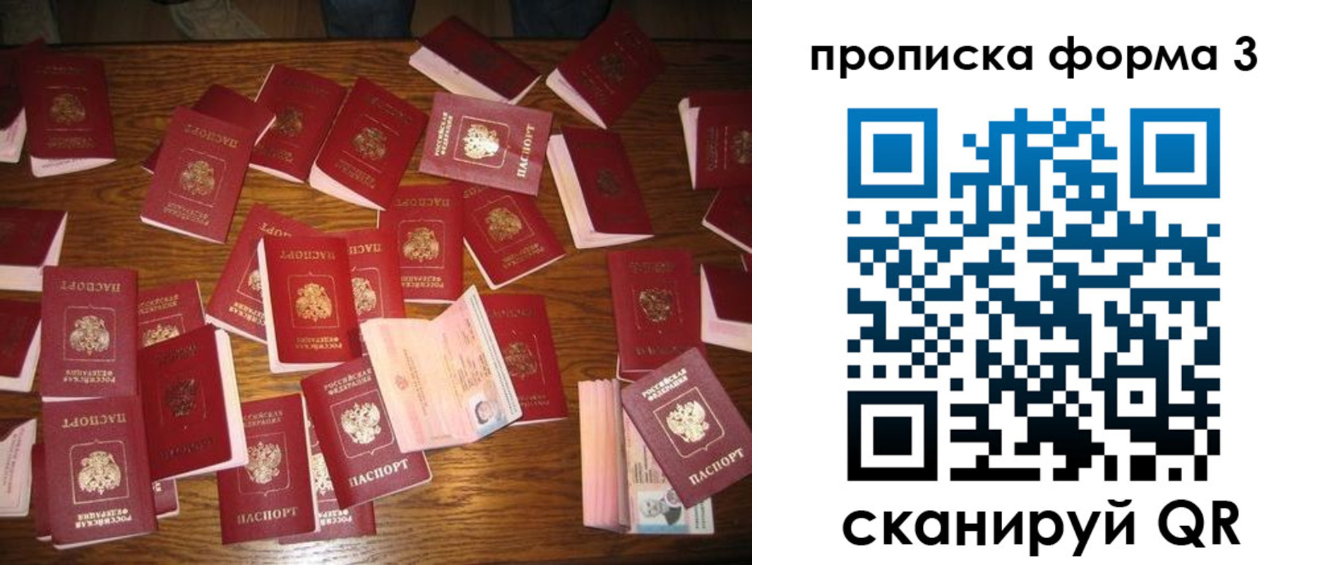 временная регистрация госуслуги в Елизово